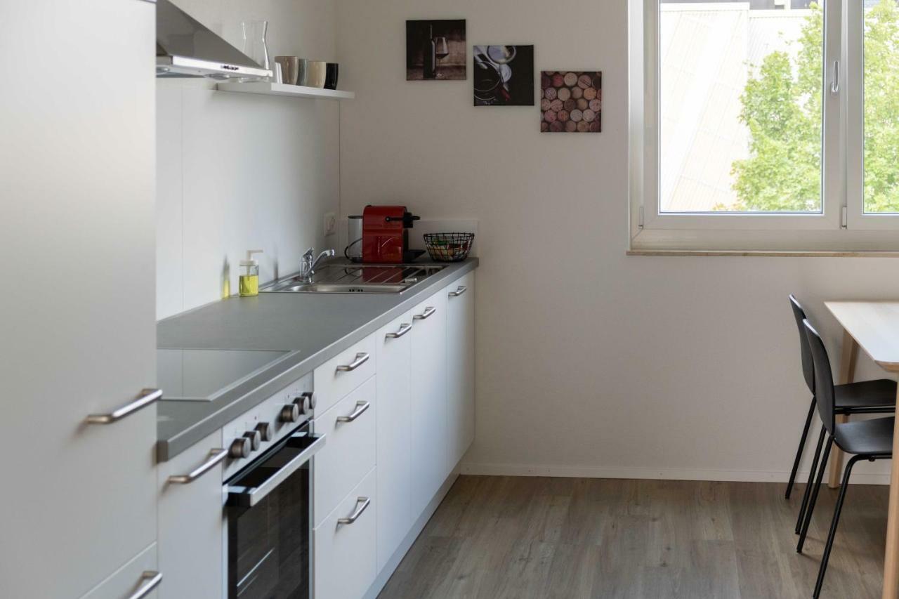 Atrium Apartments Шафхаузен Экстерьер фото